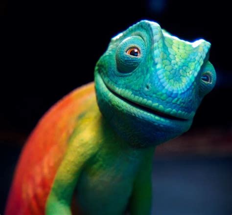 free-range vfx, Free range vfx