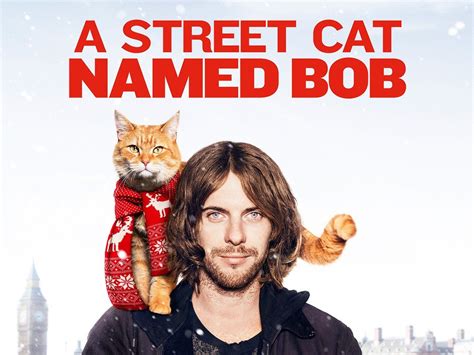 frisättning A Street Cat Named Bob