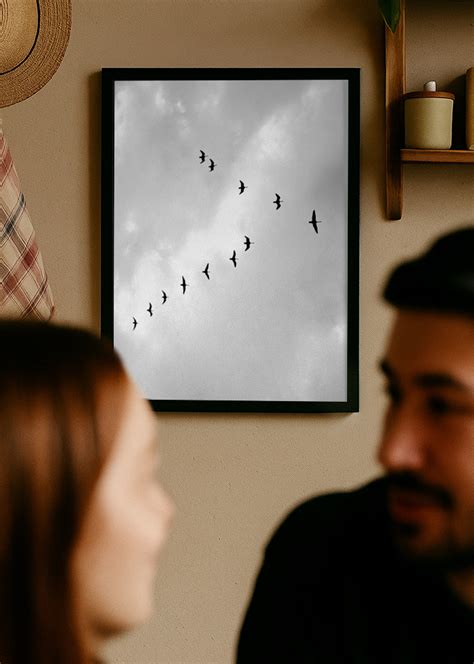 frisättning Flykt