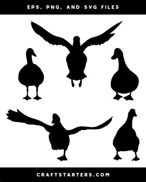 front view duck clip art, Front view of a duck farm animal royalty free vector image