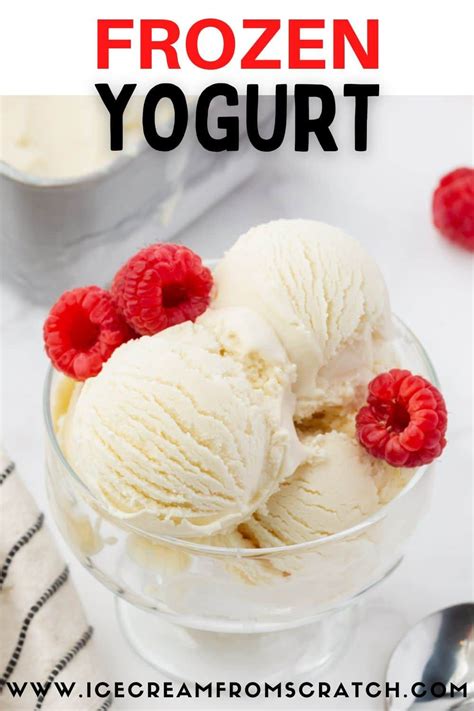frozen yogurt recipes in ice cream maker