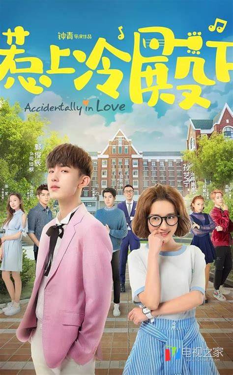 fuld Accidental Love