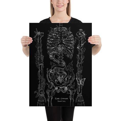 full Cadaver