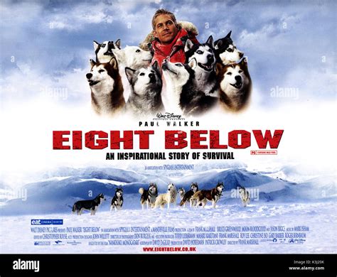 full Eight Below
