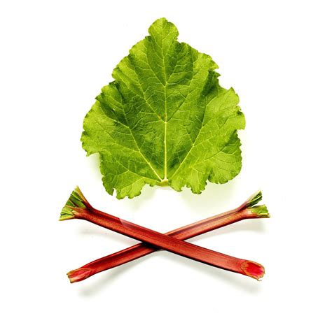 full Rhubarb