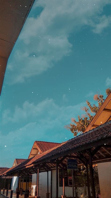 gambar aesthetic, Sunflower bunga matahari sunflowers lukisan sonnenblumen sunrises pexels layu berkembang bidang hintergrundbilder stok teahub sunset tanaman terpopuler beginilah konsep mawar. Terbaru 31+ lukisan aesthetic pinterest, gambar lukisan