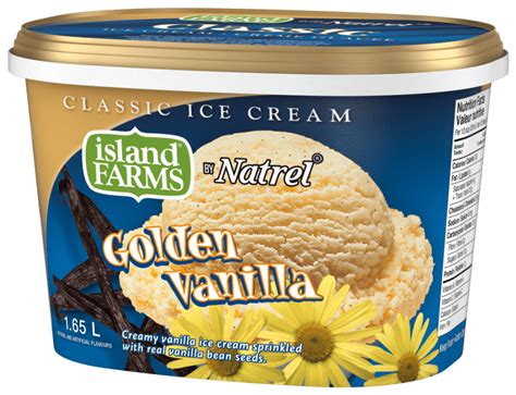golden vanilla ice cream