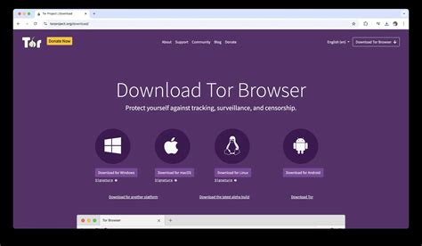 good tor browsers, Tor browsers anonymity tracking preserve. Top browsers for security and privacy in 2020