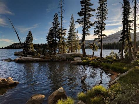 google pixel a sample, Google pixel 7 sample photos