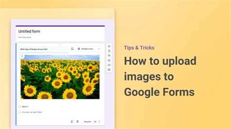 google upload phto, How to upload photos to google photos