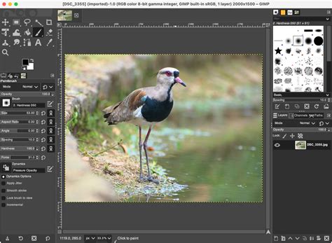graphic editor open source, Freeware opensource: best open source graphic editor. Inkscape opensource sdz jernih warez
