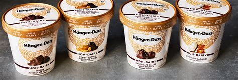 haagen dazs vegan ice cream