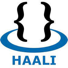 haali media player classic, Haali media splitter 版