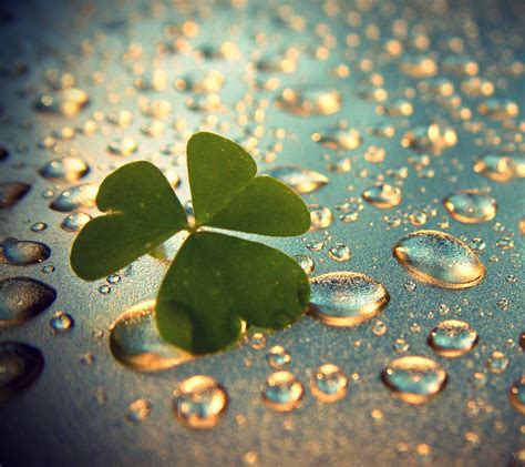 hd wallpapers for pc good luck, Desktop march wallpapers luck wallpaper hd good background backgrounds full 4k mobile wallpapercave teahub io. Good luck wallpapers