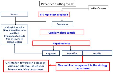 hiv aids testing pro diagrams 