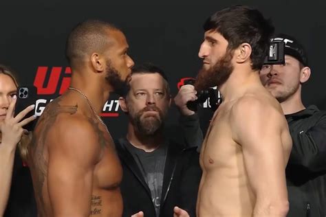 hoje tem ufc