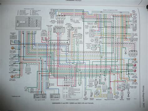 honda 954 wiring diagram 