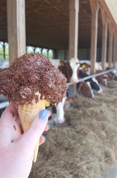 hornstra farms ice cream