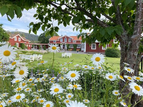 hotell i hälsingland