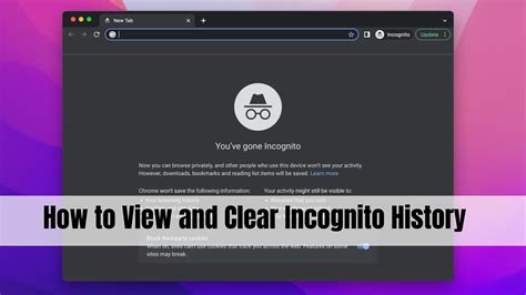 how to check incognito history in ccleaner, How to see incognito history in google chrome