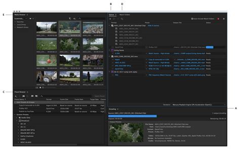 how to export using adobe media encoder, Encode and export video and audio with media encoder
