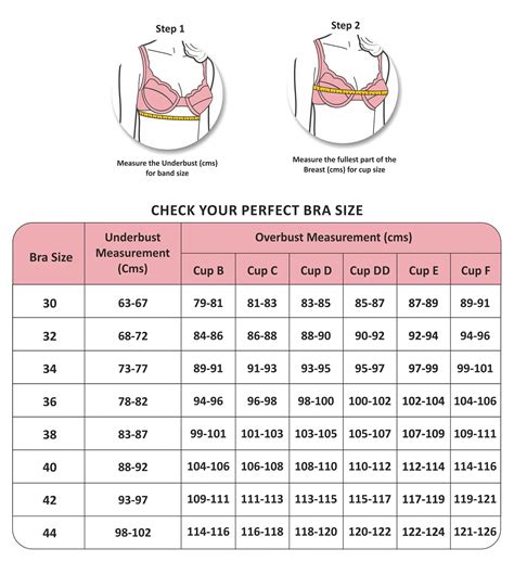 How To Find Bra Size Chart