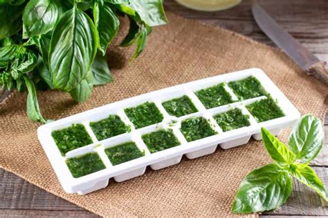 how to freeze basil in ice cube trays