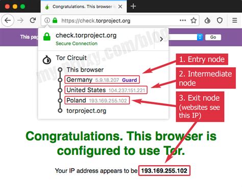 how to hide ip on mac using tor browser, Does tor hide your ip? a closer look