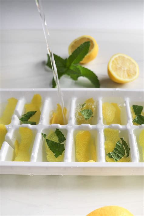 how to make lemon ice cubes