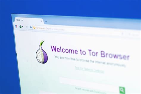 how to open dark web on tor browser, Everything you should know about the dark web