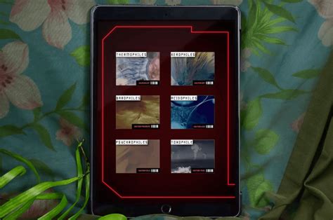 how to play exo files, Exo data (@chartsexo) / twitter