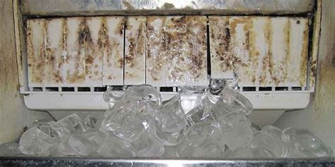 how to prevent mold in ice maker