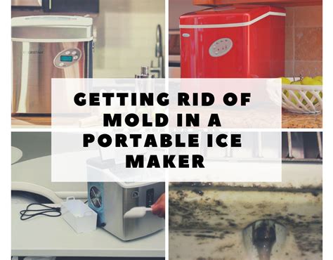 how to prevent mold in portable ice maker