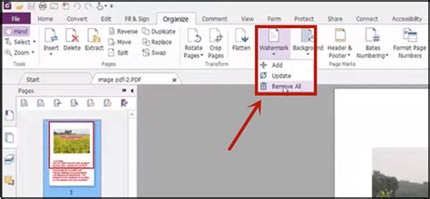 how to remove watermark in foxit phantompdf, Foxit phantompdf 版