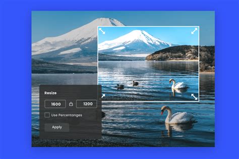 how to resize a picture in photos, Resize your pictures for free