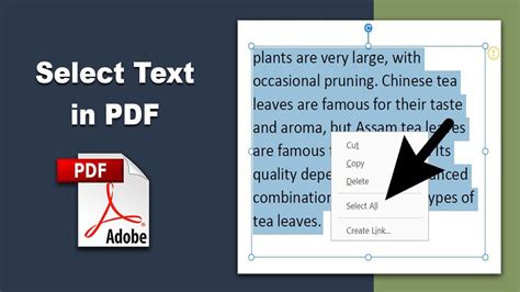how to select text in pdf adobe acrobat, How to efficiently select all the text in a pdf document: 10 steps. Pdf efficiently selecionar texto documento step wikihow