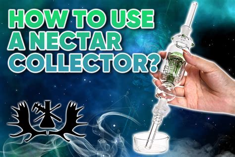 how to use nectar collector, How to use a nectar collector weed: a step-by-step guide