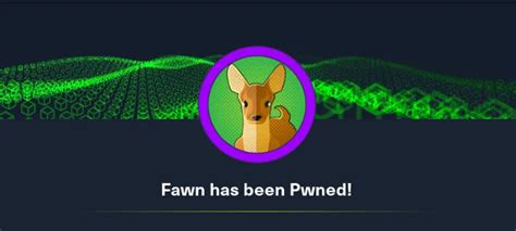 Htb Fawn Walkthrough