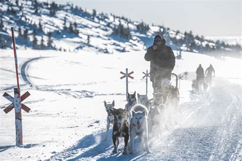 hundspann dalarna