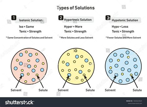 hypertonic solution diagram 