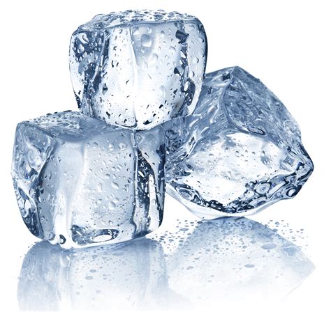 ice & bites