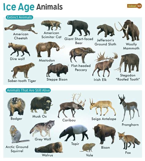 ice age animals list