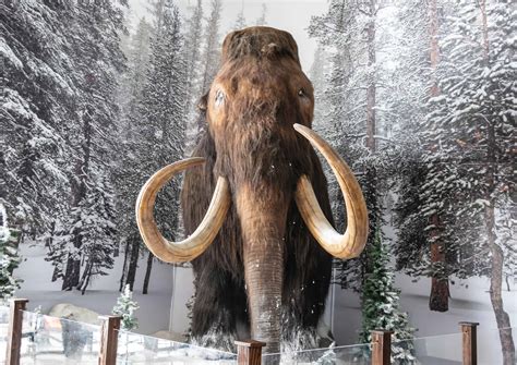 ice age extinct animals