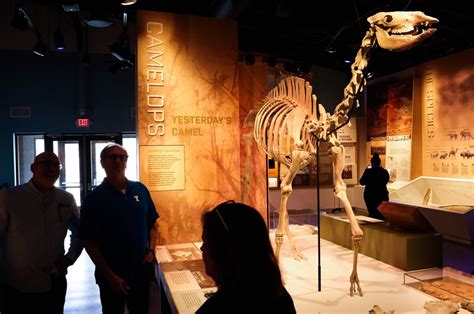 ice age fossils state park news