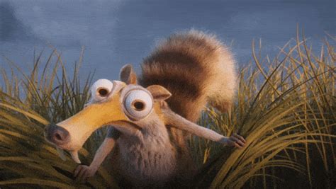 ice age squirrel gif