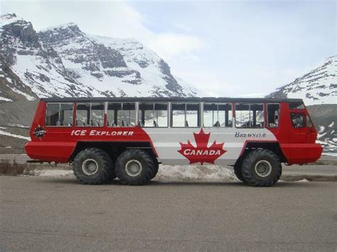 ice buses