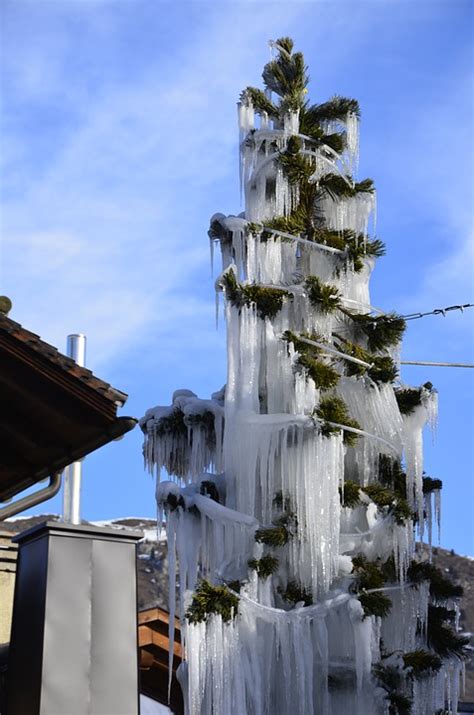 ice christmas tree