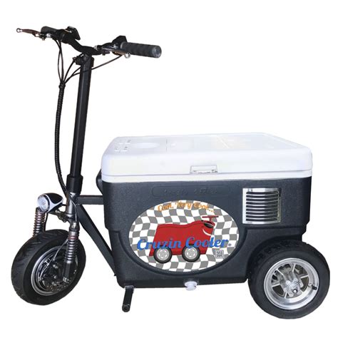 ice cooler scooter
