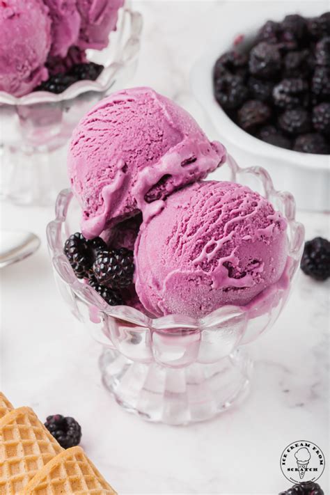 ice cream black raspberry