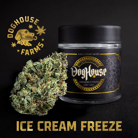 ice cream freeze strain